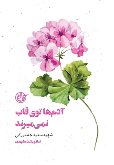 آدم ها توی قاب نمی میرند